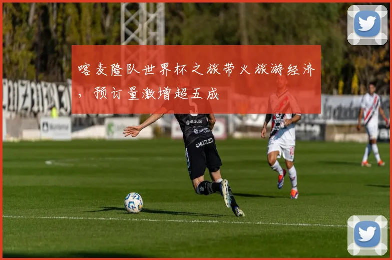 喀麦隆队世界杯之旅带火旅游经济，预订量激增超五成