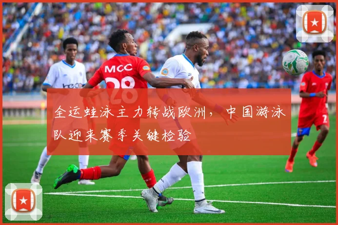 全运蛙泳主力转战欧洲，中国游泳队迎来赛季关键检验