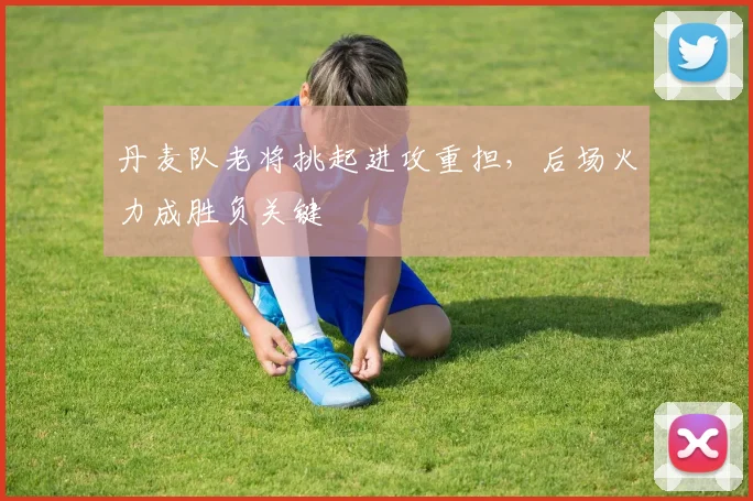 丹麦队老将挑起进攻重担，后场火力成胜负关键