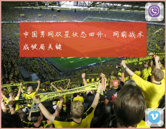 中国男网双星状态回升，网前战术成破局关键