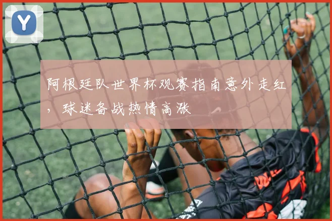 阿根廷队世界杯观赛指南意外走红，球迷备战热情高涨