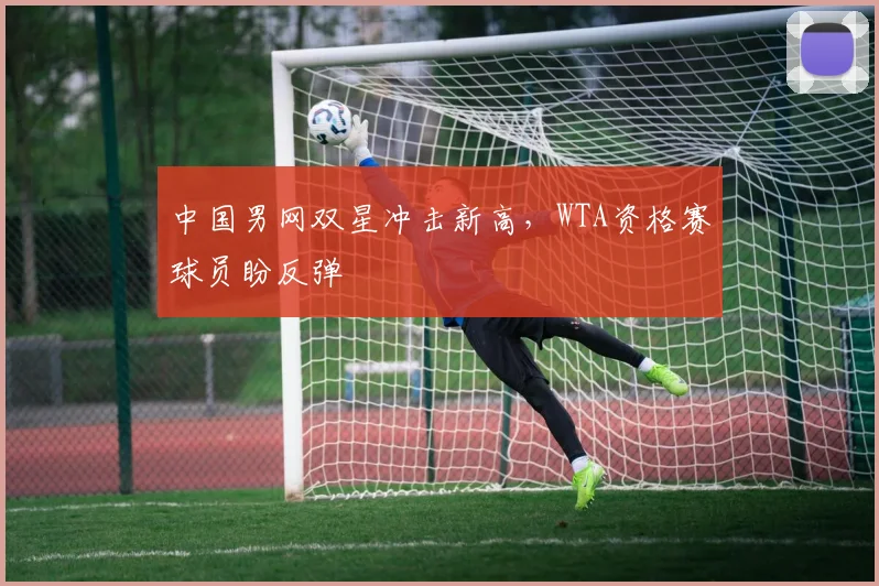 中国男网双星冲击新高，WTA资格赛球员盼反弹