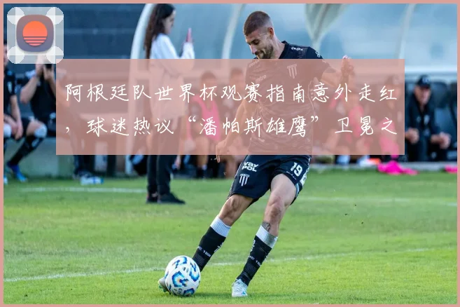 阿根廷队世界杯观赛指南意外走红，球迷热议“潘帕斯雄鹰”卫冕之路